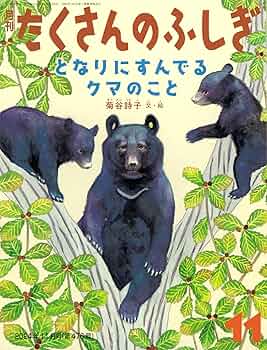 となりにすんでるクマのこと (たくさんのふしぎ2024年11月号